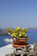 Greece, Santorini (Thira) Island Stock Photography. Fira Town.